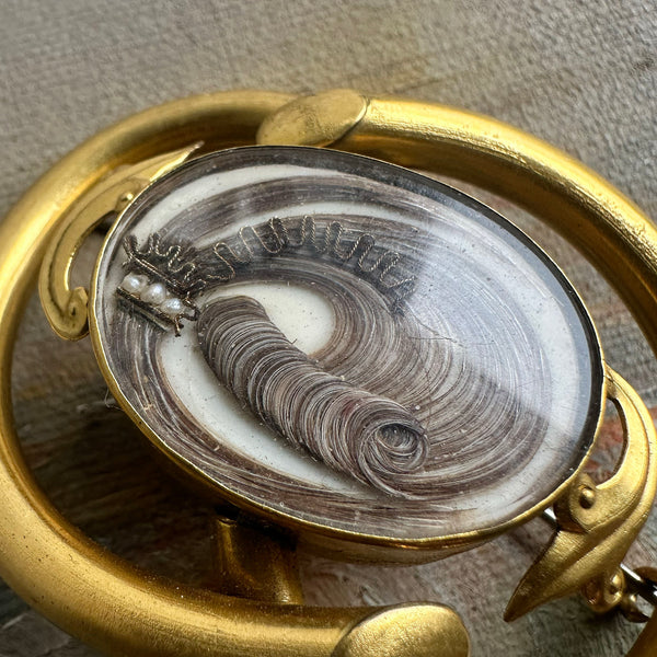 Victorian Hairwork Momento Pin